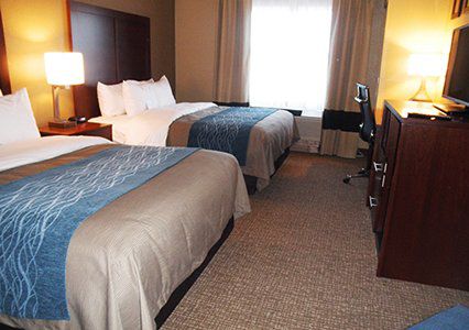 Hotel Comfort & Grafton-cedarburg Grafton